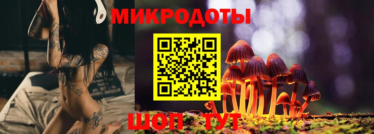 Псилоцибиновые грибы ЛСД Кингисепп